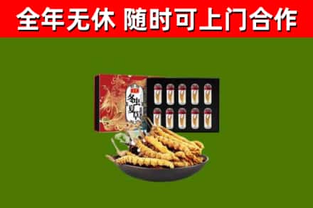 洛江回收冬虫夏草价格